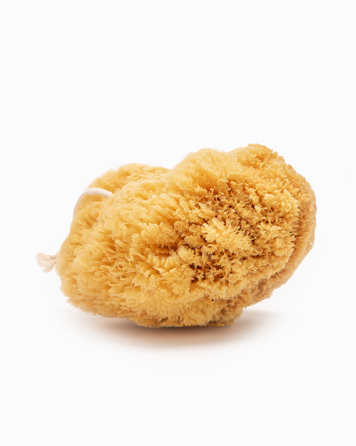 Natural Bath Sponge